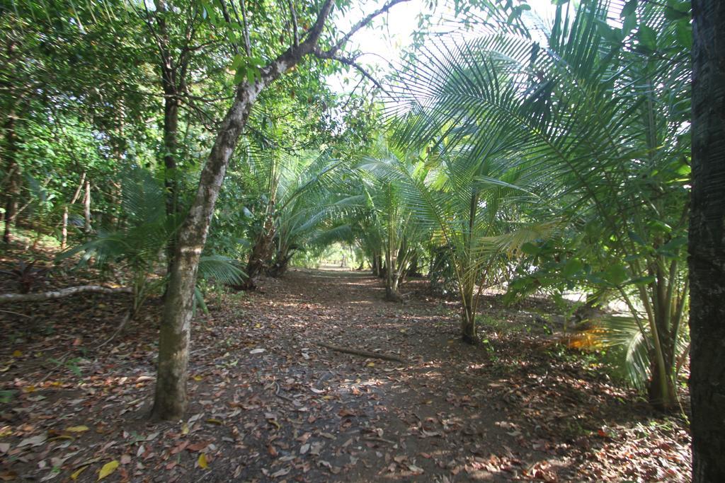 Camino Del Sol Hotel Los Duarte Ngoại thất bức ảnh